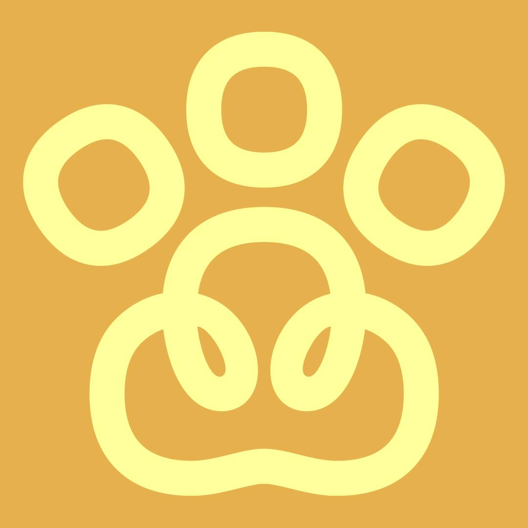 Insa avatar
