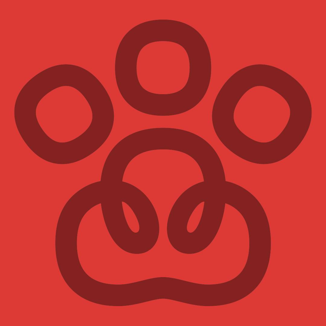 Bombi avatar